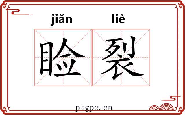 睑裂