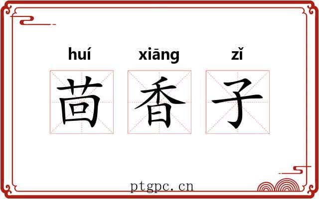 茴香子