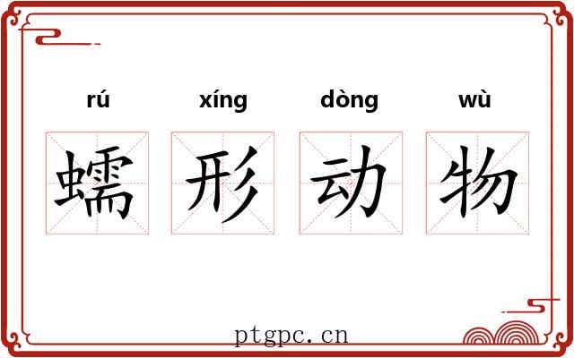 蠕形动物 蠕形动物