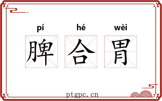 脾合胃 脾合胃