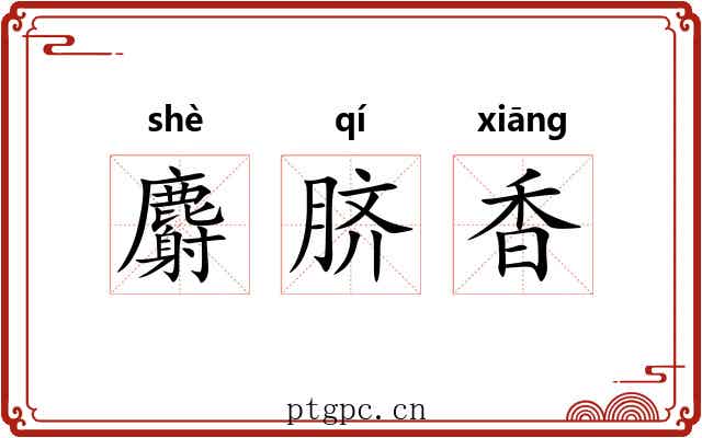 麝脐香 麝脐香