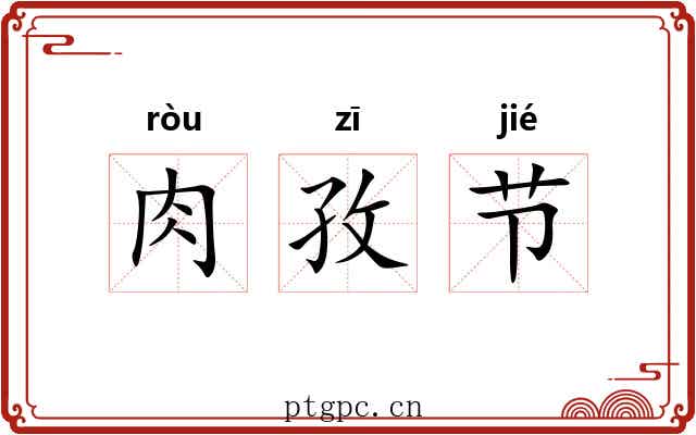 肉孜节 肉孜节