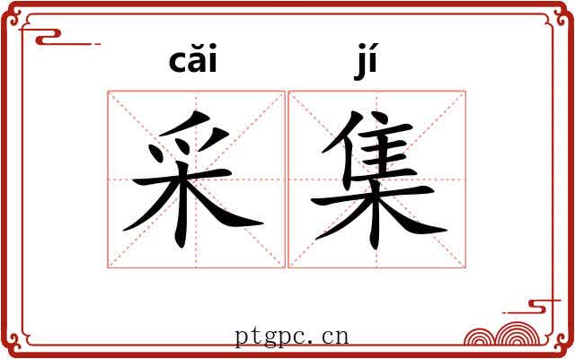 采集 采集
