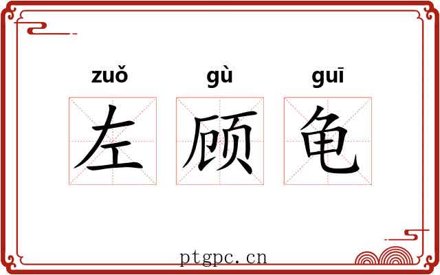 左顾龟 左顾龟