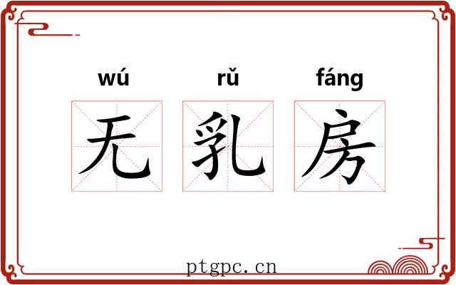 无乳房