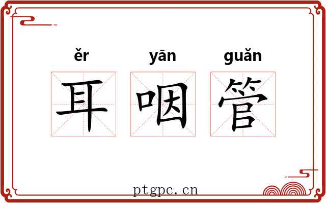 耳咽管 耳咽管