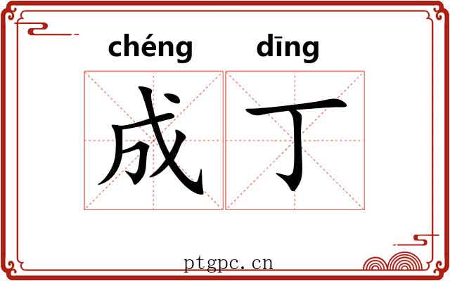 成丁 成丁