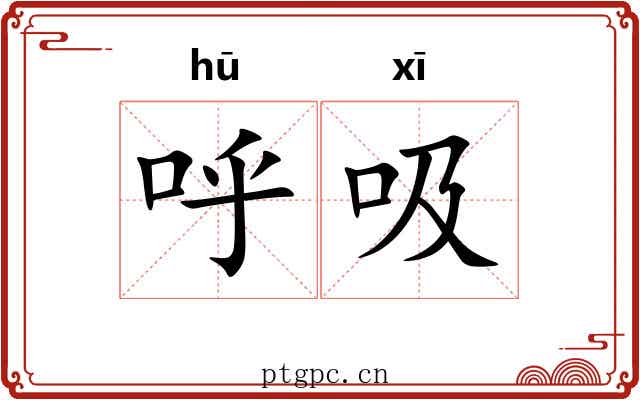 呼吸 呼吸