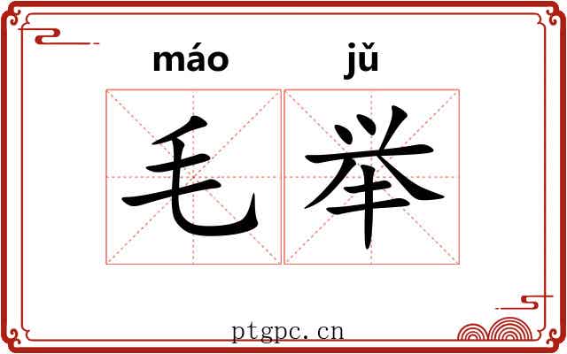 毛举 毛举