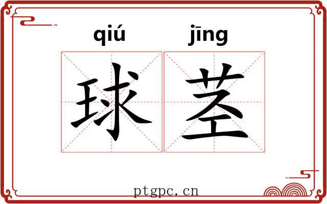 球茎