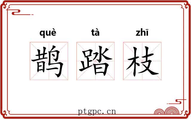 鹊踏枝 鹊踏枝