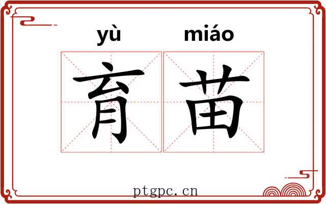育苗 育苗