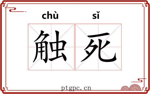 触死 触死