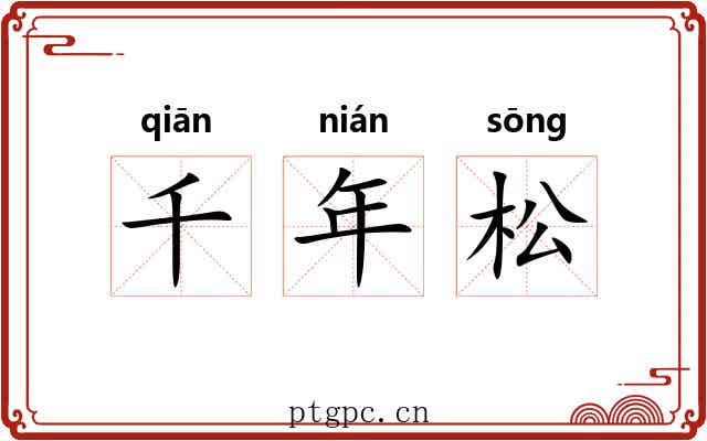 千年松 千年松