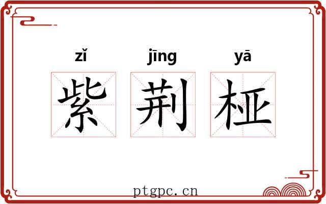紫荆桠