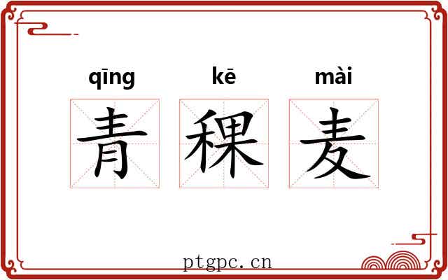 青稞麦 青稞麦