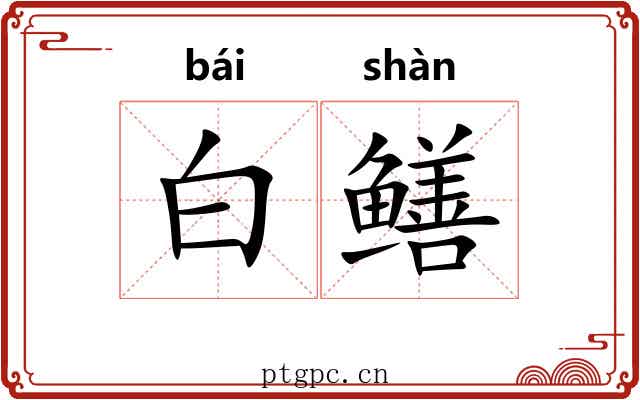 白鳝 白鳝