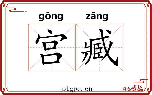 宫臧 宫臧