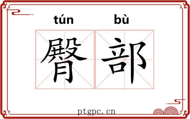 臀部