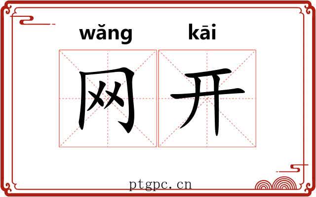 网开