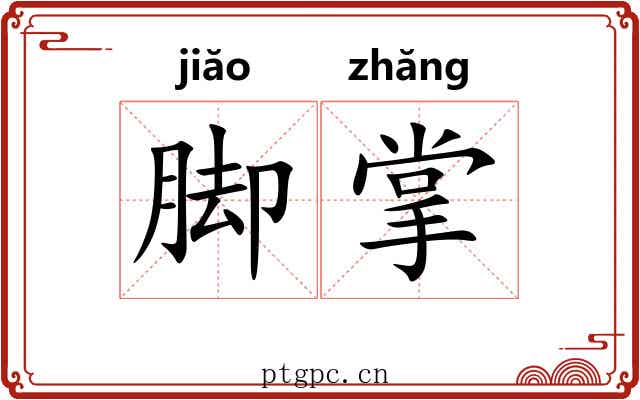 脚掌 脚掌
