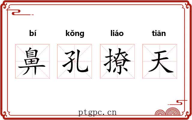 鼻孔撩天 鼻孔撩天