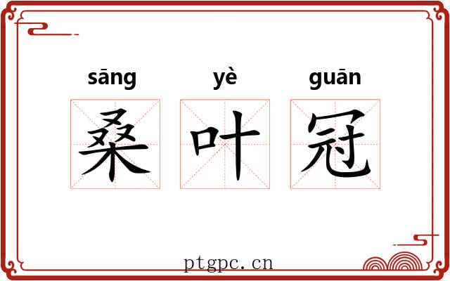 桑叶冠 桑叶冠