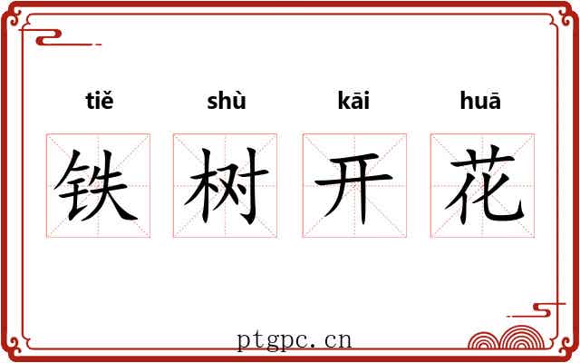 铁树开花