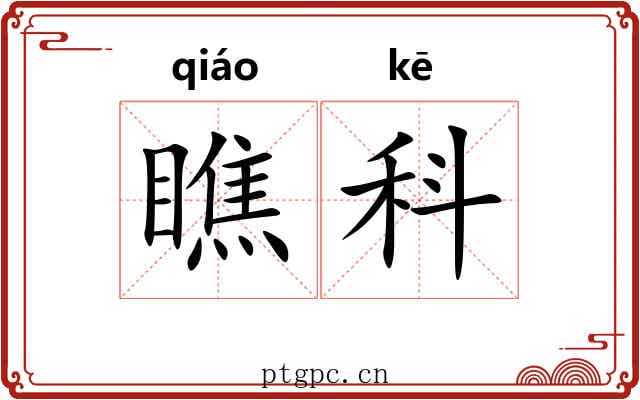 瞧科