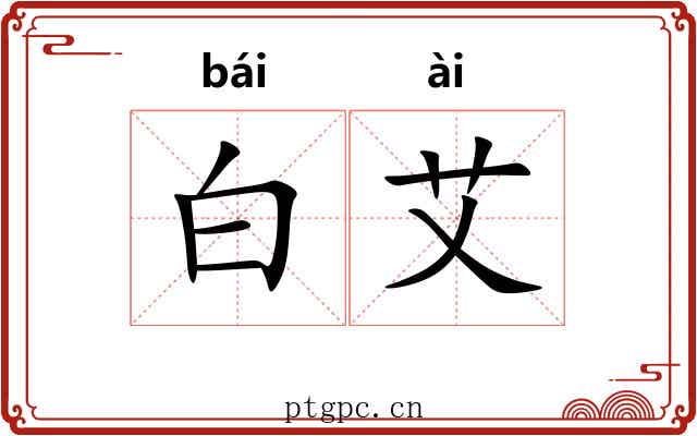 白艾 白艾