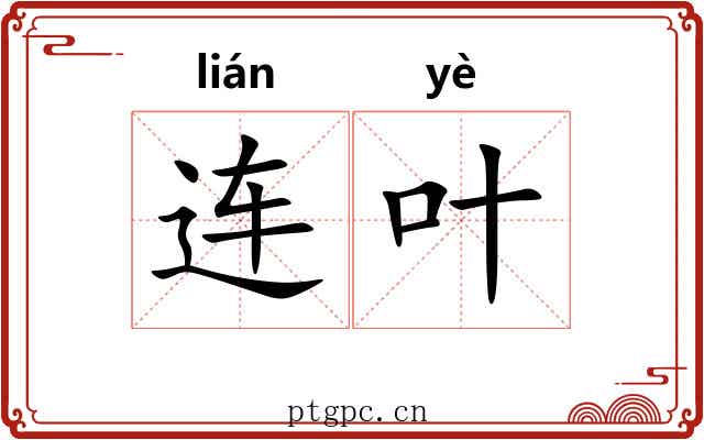 连叶 连叶