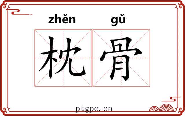 枕骨 枕骨