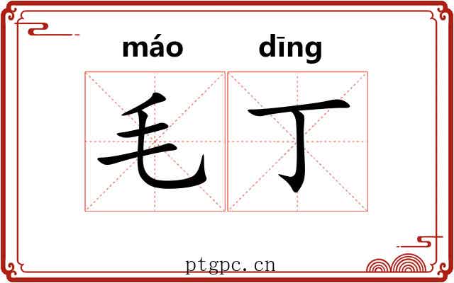 毛丁 毛丁