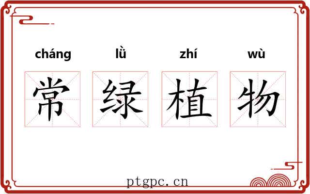 常绿植物
