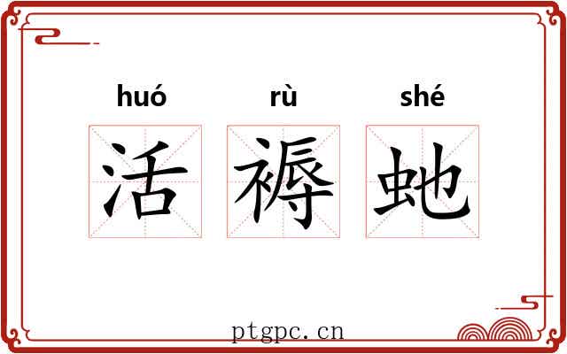 活褥虵