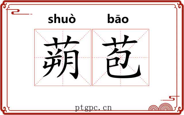 蒴苞