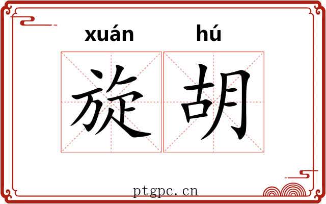 旋胡 旋胡