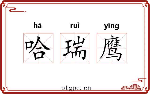 哈瑞鹰