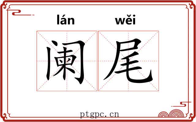 阑尾 阑尾