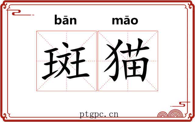 斑猫