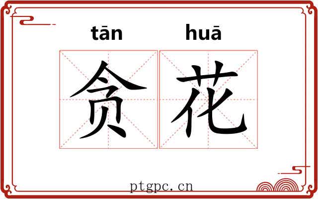 贪花 贪花