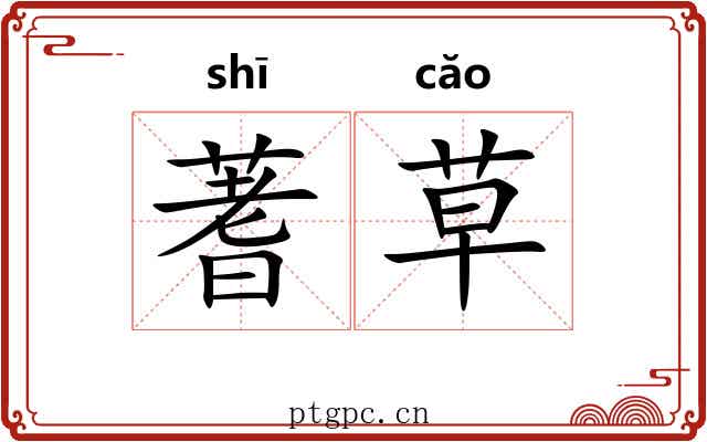 蓍草