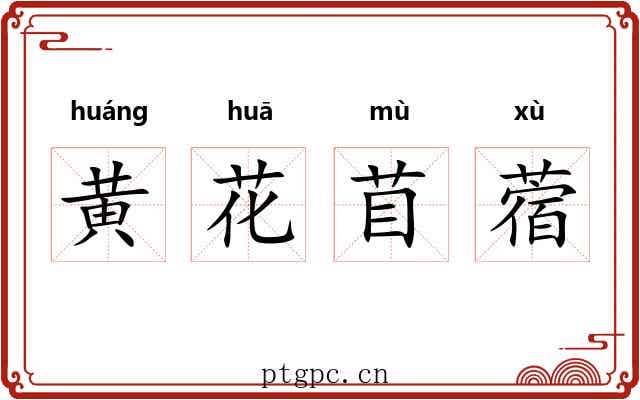 黄花苜蓿 黄花苜蓿