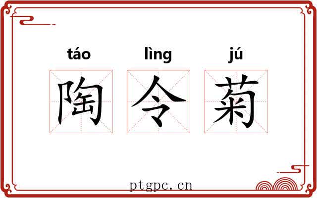 陶令菊
