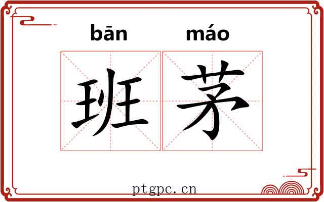 班茅 班茅