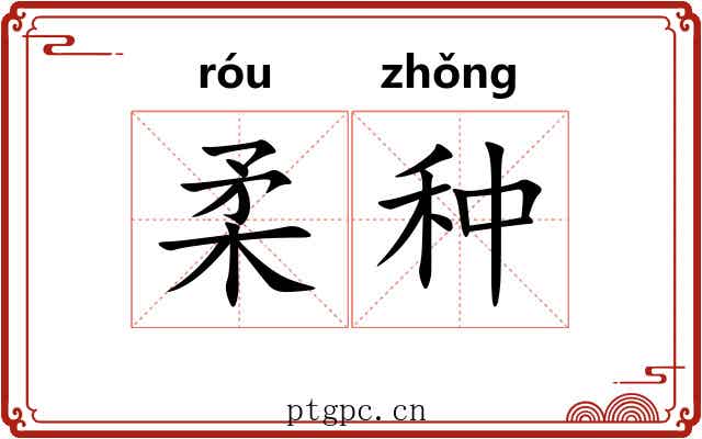 柔种 柔种