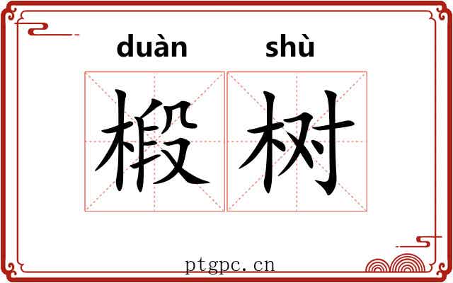椴树