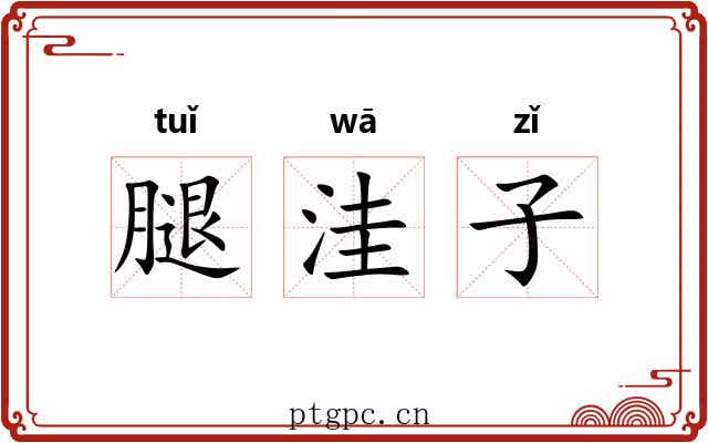 腿洼子