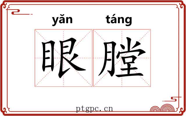 眼膛