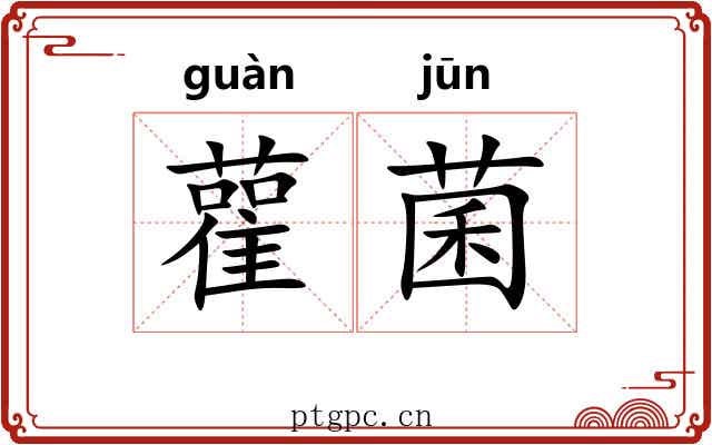 雚菌